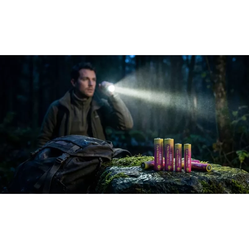 ANSMANN PurePower Set AAA Ładowarka do baterii z 4x AAA 800 mAh NiMH