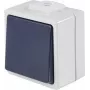 AS SCHWABE 62452 Natynkowy przycisk przełącznik, IP54, szary, 250V/10A, 1NO