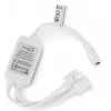 Avide Taśma LED Blister 12V 16W RGB 5m z pilotem IR