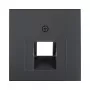 Berker 1407 16 06 Płyta centralna do gniazda UAE (RJ45), 2-gniazdowa, antracyt (55x55mm)