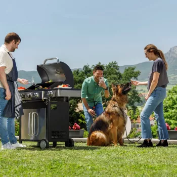 Black+Decker BXOG12950E Grill Gazowy, 3 Palniki
