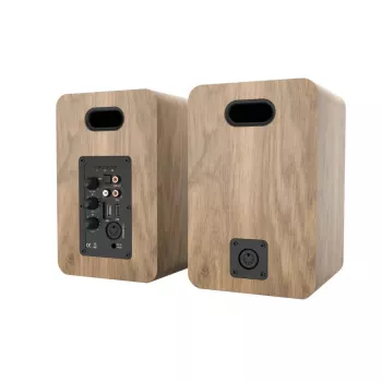 Blaupunkt BS50OK dwudrożny kolumna podłogowa 50W RMS brązowy