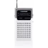 Blaupunkt PR4WH Przenośne radio AM/FM szare