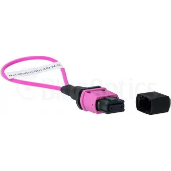 BlueOptics Loopback Adapter MPO/MTP Multimode OM4