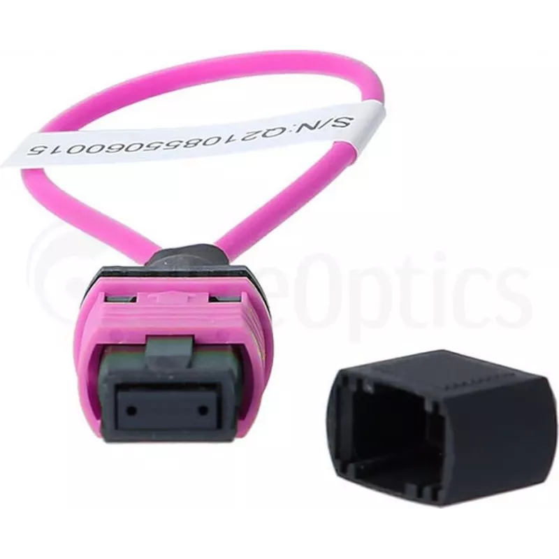 BlueOptics Loopback Adapter MPO/MTP Multimode OM4