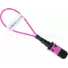 BlueOptics Loopback Adapter MPO/MTP Multimode OM4