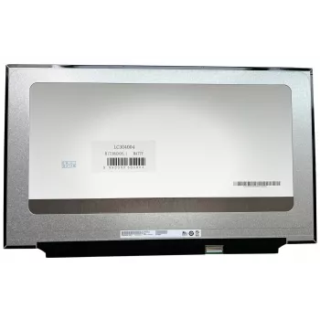 BOE 17,3-calowy panel wyświetlacza Full HD 300Hz IPS matowy (40-pin eDP, złącze po prawej)