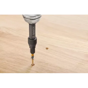 Bosch 2607002786 Zestaw 20 końcówek wkrętakowych z magnetycznym uchwytem uniwersalnym, 25 mm, ze stali S2, do Phillips, Pozidriv, płaskich, Torx, Hex