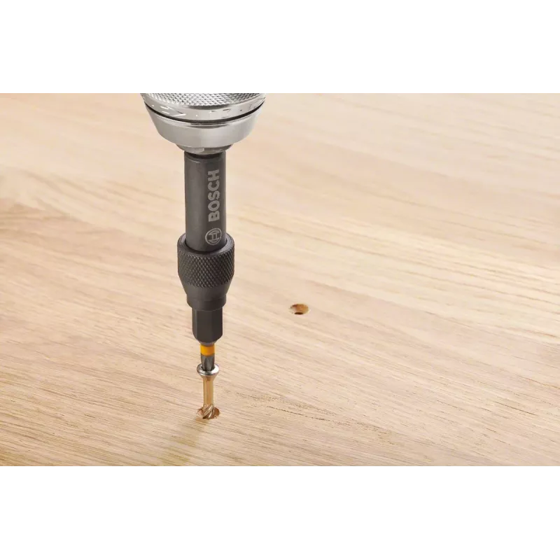 Bosch 2607002786 Zestaw 20 końcówek wkrętakowych z magnetycznym uchwytem uniwersalnym, 25 mm, ze stali S2, do Phillips, Pozidriv, płaskich, Torx, Hex