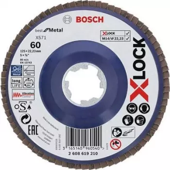 Bosch 2608619210 Tarcza ścierna 125 mm, ziarnistość 60
