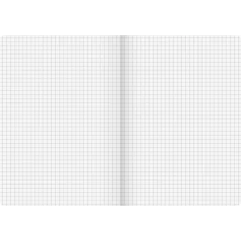 BRUNNEN Zeszyt szkolny Vivendi Lineatur 5 w kratkę bez marginesu A4 16 kartek 32 strony 80 gsm biały papier zszywany okładka kartonowa kolory mieszane