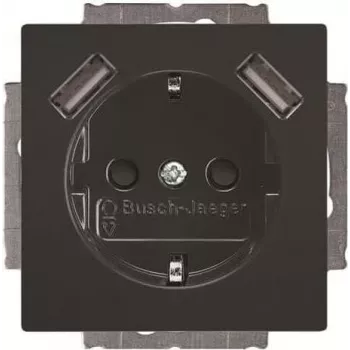 BUSCH-JAEGER BJ 20 EUCB2USB-81 Gniazdo SCHUKO z 2 portami USB, biały alpejski 2CKA002011A6267