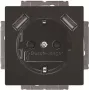BUSCH-JAEGER BJ 20 EUCB2USB-81 Gniazdo SCHUKO z 2 portami USB, biały alpejski 2CKA002011A6267