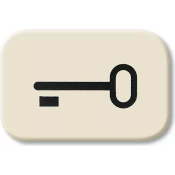 BUSCH-JAEGER Taster Symbol Key Wippe 2520 2525TR Duro 2000 SI 2525TR (1433-0-0440)
