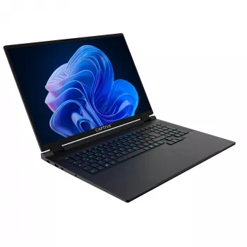 Captiva Entry Gaming I10-4466GE 18-calowy Intel Core i7-14650HX RTX 5060 16GB/1TB SSD Win11 Pro