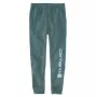 Carhartt Męskie Spodnie dresowe Graphic Jogger - luźny krój, średniej grubości mieszanka bawełny, elastyczna talia, potrójne szwy