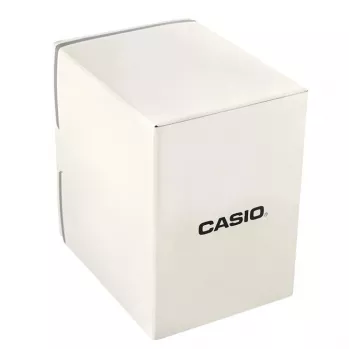Zegarek męski CASIO AEQ-120W-7AVDF
