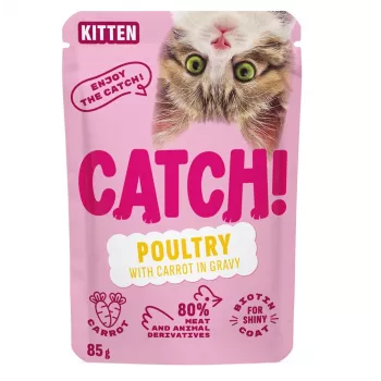 CATCH Kitten Poultry and Carrot in Gravy - Mokra karma dla kota - 85g