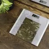 Waga łazienkowa Cecotec Surface Precision Healthy Maksymalna waga 180 Szary/Przezroczysty