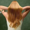 Suszarka do włosów Cecotec IoniCare Dry&Keratin Olive 1200 W Funkcja jonowa 1 ustawienie temperatury Zielony