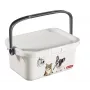 CURVER Multiboxx 3L Pojemnik do przechowywania z pokrywką i uchwytem, wzór kota i psa, przezroczysty z nadrukiem, 26x18x11cm