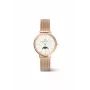 DANIEL WELLINGTON Petite Lumine 32mm Silver Watch with Mother of Pearl Dial and Silver Mesh Strap DW00100773