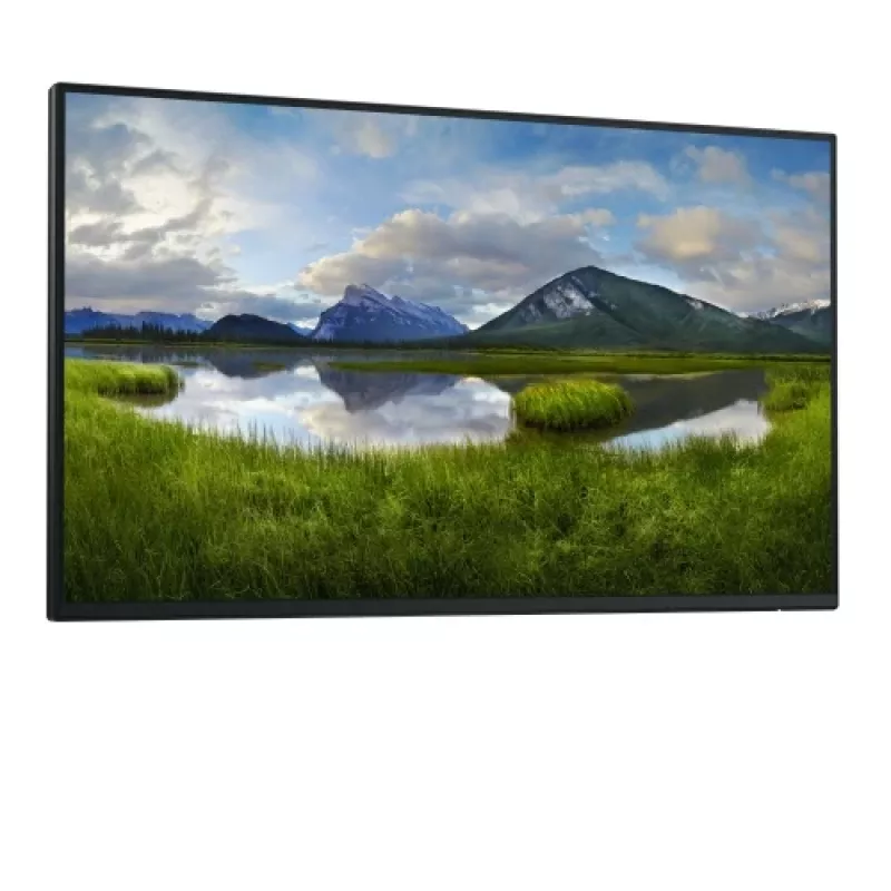 Dell Pro 24 Plus P2425HE Monitor 23,8 cala IPS FHD 1920x1080 8ms 250cd/m2 100Hz (bez podstawy)