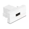 Delock Easy 45 Moduł EASY-USB 2.0 Type-A żeńskie do EASY-USB Type-A żeńskie Biały 90866