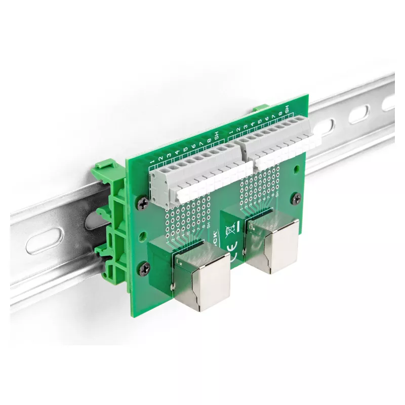 Delock RJ45 2 x żeńskie do 2 x złącze zaciskowe z przyciskiem do szyny DIN (66994)