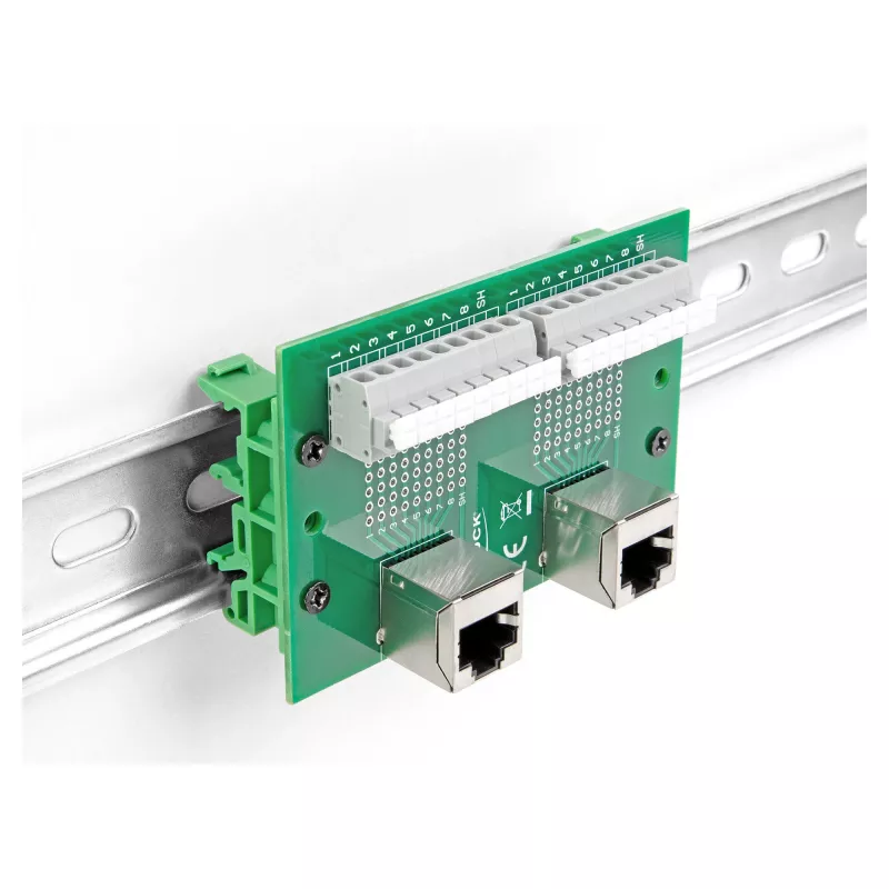 Delock RJ45 2 x żeńskie do 2 x złącze zaciskowe z przyciskiem do szyny DIN pod kątem (66995)