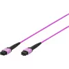 Kabel krosowy światłowodowy DIGITUS OM4 MPO do MPO 12-włóknowy, 2m, Metoda A, fioletowy DK-2566-02/4