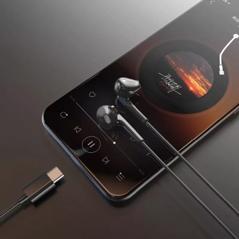 Dudao X3C Słuchawki douszne przewodowe USB-C 1,2m - Czarny