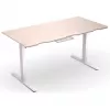 ENDORFY Atlas L Electric Biurko z regulacją wysokości, blat jasny drewnopodobny 1400x600 mm