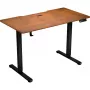 ENDORFY Atlas S Electric Height-Adjustable Desk Walnut/Black 120x60 cm