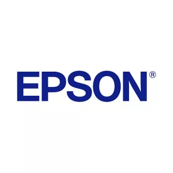 Epson UltraChrome GS3 T45LB00 Metallic Silver 500ml Ink Pack