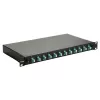 Equip 12-Port Fiber Optic Splice Box, LC Duplex, OM3, 1U, Wyposażony, Czarny