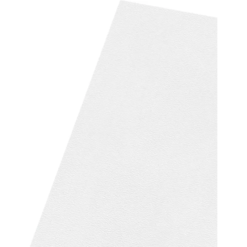 Esselte Standard A4 koszulki na dokumenty, polipropylen, groszkowane, 0,12 mm, otwarte z góry i z boku, bezpieczne dla dokumentów, wycięcie na palec, opakowanie 100 szt. 54832