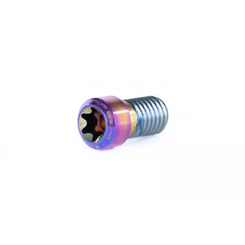 Ethic Clamp Titanium Screw Raw