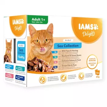 Eukanuba IAMS Delights Adult Sea w galaretce mokra karma dla kota 12x85g