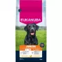 Eukanuba Premium Nutrition Junior Large & Giant Breed Sucha Karma dla Psów, Kurczak 15kg
