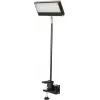 EUROLITE LED KKL-40 Floodlight 3CT Czarny 40W COB RGBW DMX 41600602