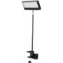 EUROLITE LED KKL-40 Floodlight 3CT Czarny 40W COB RGBW DMX 41600602