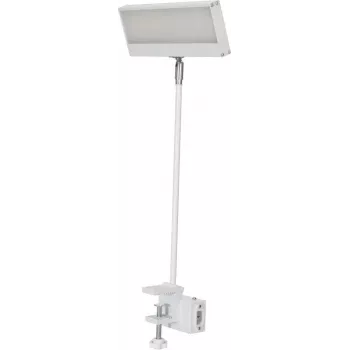 EUROLITE LED KKL-40 Naświetlacz 3CT Biały 41600600