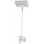 EUROLITE LED KKL-40 Naświetlacz 3CT Biały 41600600