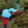 EuroSCHIRM Swing liteflex niebieski parasol przeciwdeszczowy pełnowymiarowy z włókna szklanego i poliestru