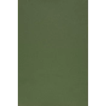 Evelatus Universal Color Shinning Film for Screen Cutter Army Green