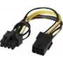 EXERTIS CONNECT Kabel adaptera zasilania PCI Express 6-pin na 8-pin do kart graficznych (146695)