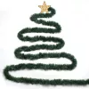 Extralink Christmas Garland, Ozdobny Łańcuch 5m - Zasilany przez USB Sznur LED, Ciepła Biel, Wewnątrz