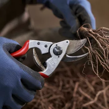 FELCO 14 Sekator nożycowy jednoręczny z obejściem – hartowane ostrze stalowe, kute uchwyty aluminiowe, 195 mm