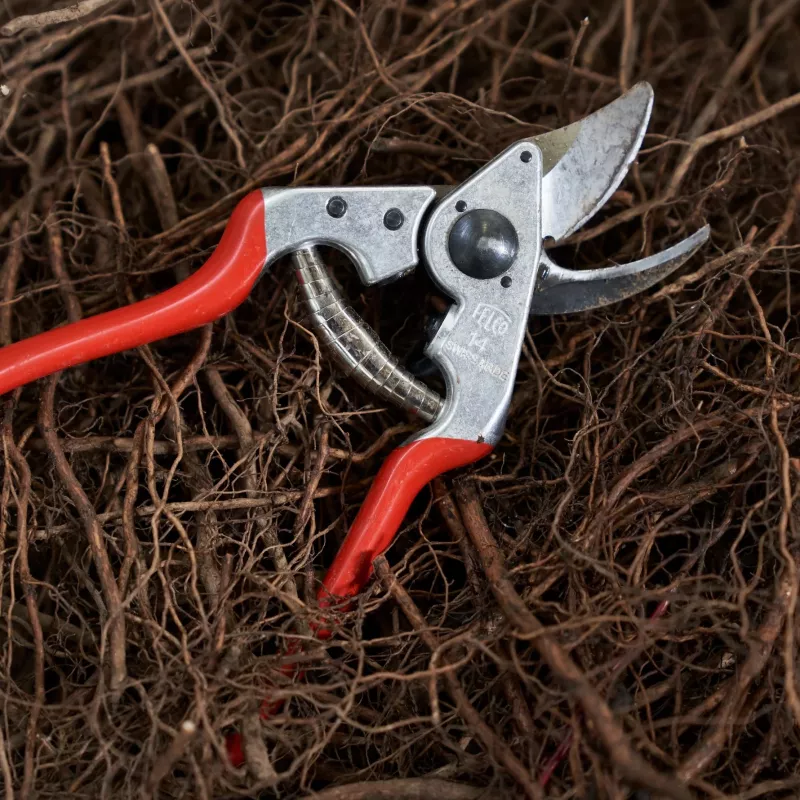 FELCO 14 Sekator nożycowy jednoręczny z obejściem – hartowane ostrze stalowe, kute uchwyty aluminiowe, 195 mm